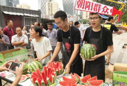 朝阳市民吃瓜网,揭秘京城热点事件，带你领略京城生活百态