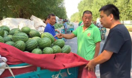 金乡吃瓜网51爆料金乡,揭秘金乡热点事件背后的真相！