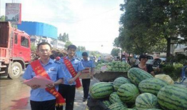 甘肃陇南网红吃瓜事件,一场网络舆论的发酵与反思