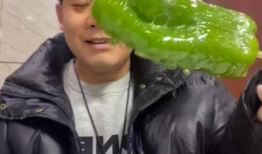 网红视频500部吃瓜,揭秘娱乐圈幕后真相